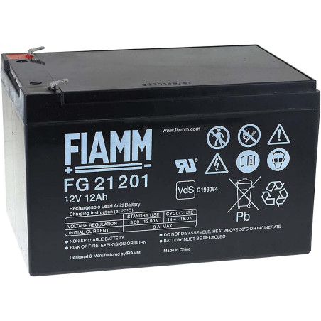FIAMM FG21202 Batteria Al...